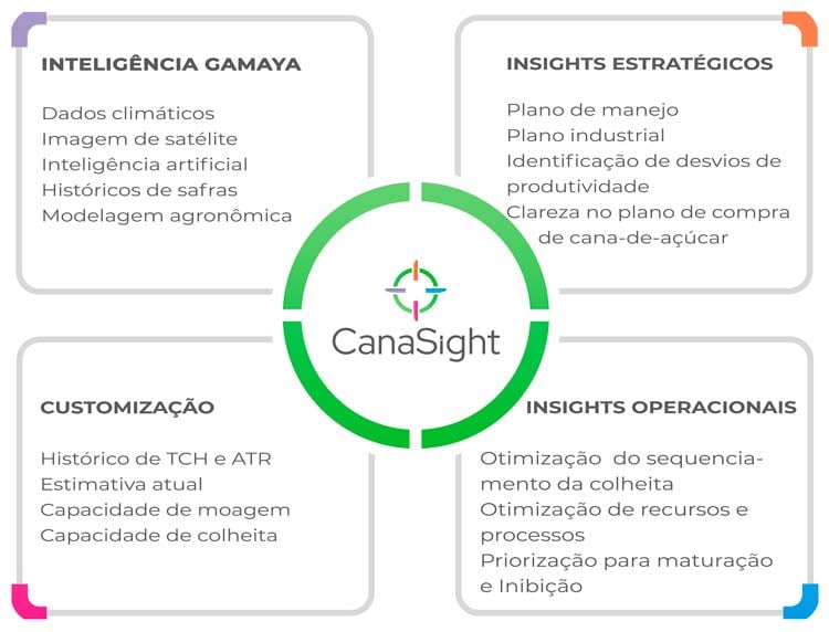 quadro-canasight